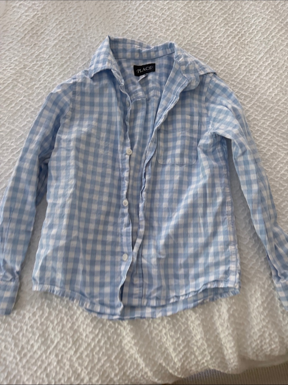 The Children's Place Blue Gingham Button-Down Shirt